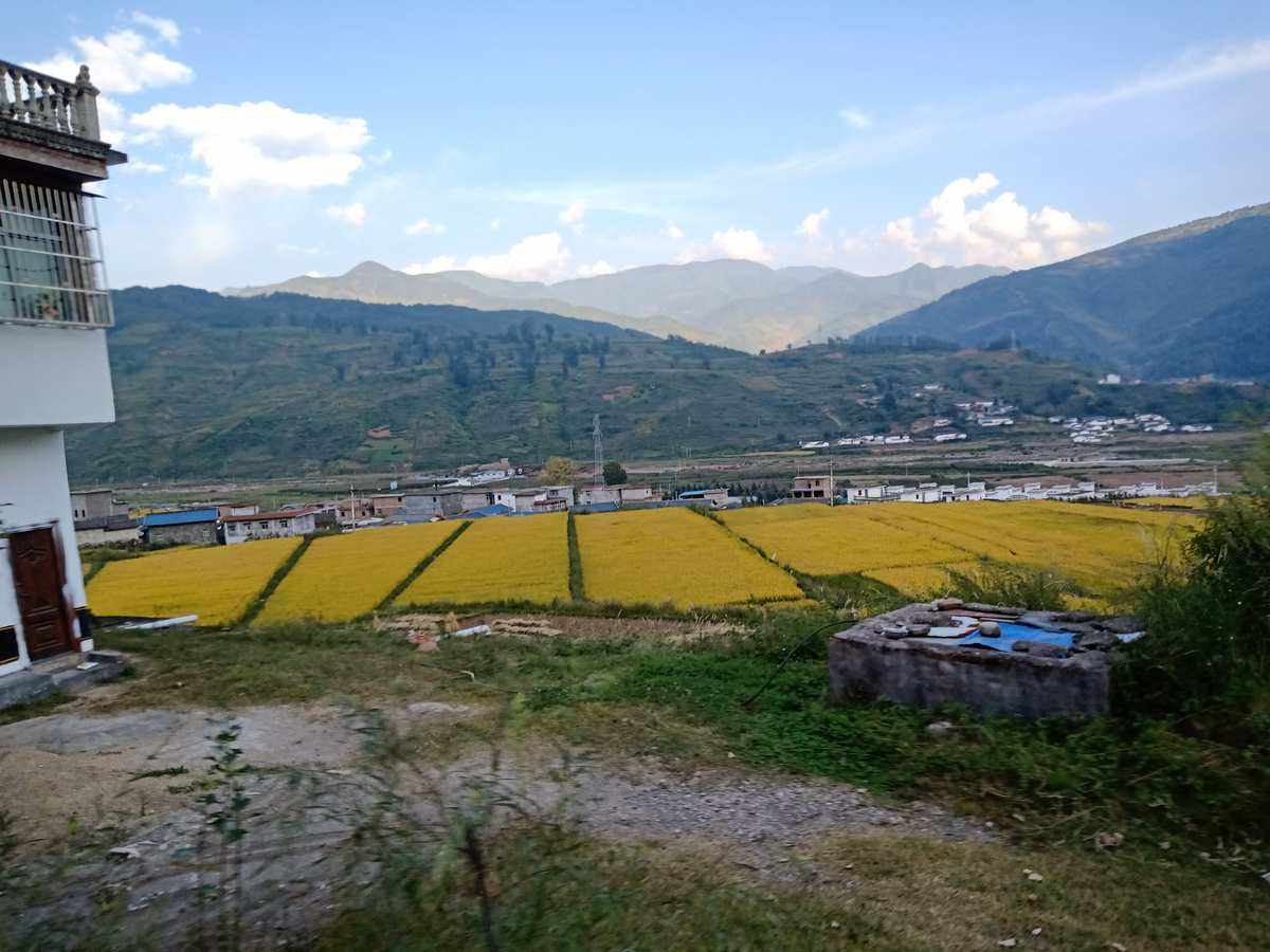 飞播苹果版下载telegeramx苹果下载-第2张图片-太平洋在线下载