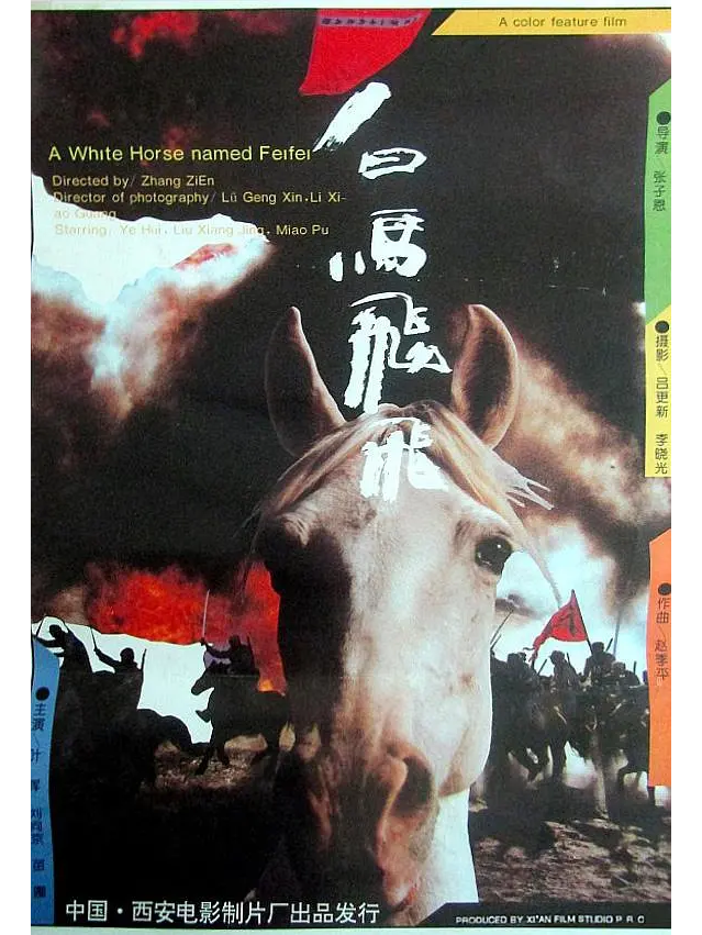 飞飞手机版电影网飞飞电影手机版下载-第2张图片-太平洋在线下载