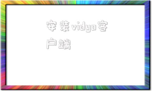 安装vidyo客户端netvideo监控系统下载