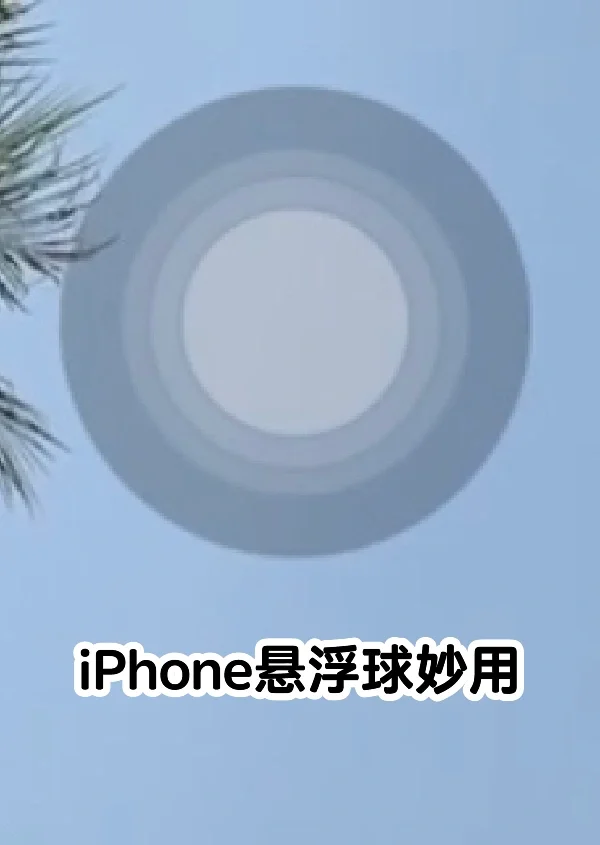 悬浮助手苹果版悬浮助手app下载-第2张图片-太平洋在线下载