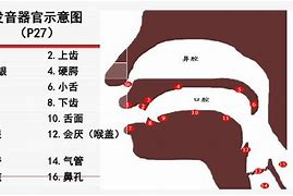 全球版颤音苹果苹果手机声音加到最大有颤音-第2张图片-太平洋在线下载